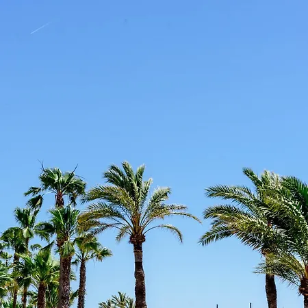 Hermoso Estudio Vistas Al Mar *